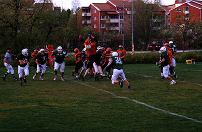 06.jpg