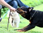 100807_22.jpg