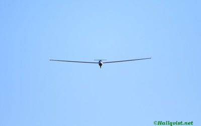 140525_11.jpg