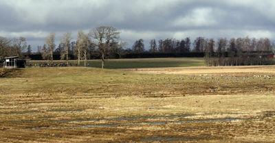 080316_01.jpg