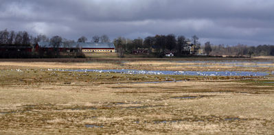 080316_02.jpg