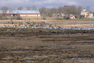 080316_05.jpg