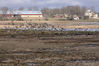 080316_05.jpg