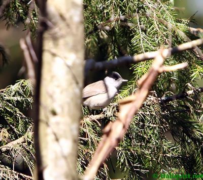 100502_04.jpg