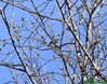 100502_01.jpg