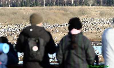 120404_11.jpg