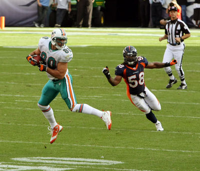 db_21.jpg