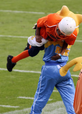 db_22.jpg