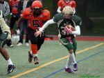121007b_16.jpg