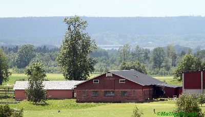110618_52.jpg