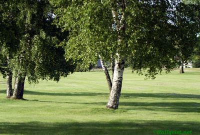 120615_55.jpg