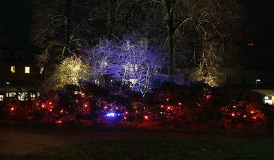 091120_05.jpg