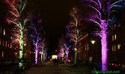 101119_11.jpg