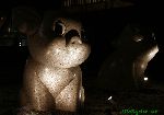 101119_10.jpg