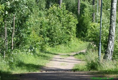 120622_01.jpg