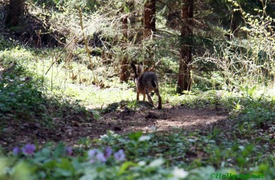 130511_034.jpg