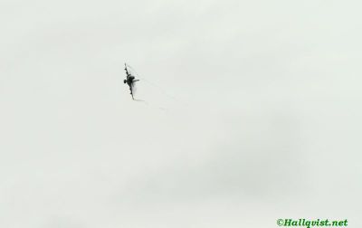 140817_40.jpg