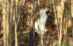 130420c_03.jpg