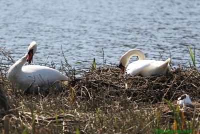 160506_01.jpg