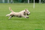 Filename=140518_37.jpg
Filesize=77KiB
Dimensions=800x532
Date added=May 18, 2014 140518_37.jpg