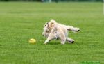 Filename=140518_38.jpg
Filesize=70KiB
Dimensions=800x493
Date added=May 18, 2014 140518_38.jpg