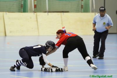 smsoftboll_011.jpg