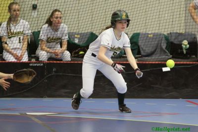 smsoftboll_072.jpg