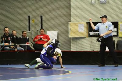 smsoftboll_120.jpg