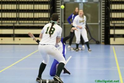 smsoftboll_121.jpg