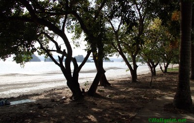 thai12_026.jpg