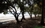 thai12_026.jpg