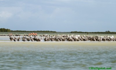 mex13_070.jpg