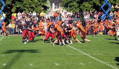 smfinal06.jpg