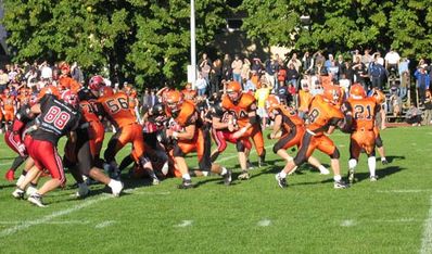 smfinal14.jpg