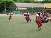 smm-cc_05.jpg